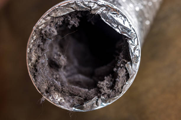 Best HVAC Maintenance and Cleaning  in Guadalupe, CA